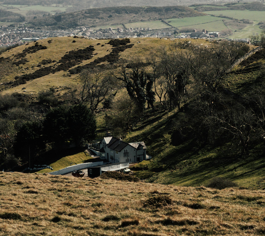 green land scape